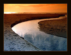 photo "planet water #2"