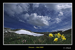 photo "Vercors Mai 2005"
