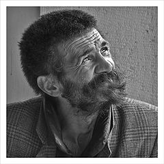 photo "portrait"