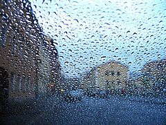 photo "Drops"