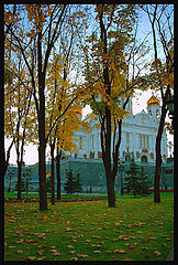 фото "Золотистая осень"