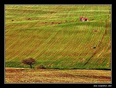 photo "Interrupted Diagonals"