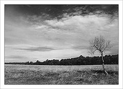 photo "Autumn"