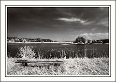 фото "My second IR..."