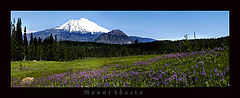 photo "Untitled photo"