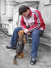 photo "How a life?"