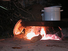 фото "Food on Fire"