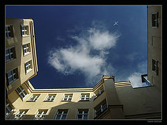 фото "*"