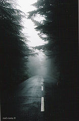фото "Walk away...into fogness"