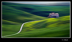 photo "Ondulante Toscane"