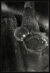 photo "Glass Study"