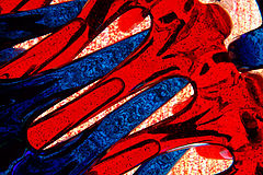 photo "Red and Blue"