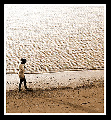photo "Steps"