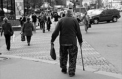 photo "Untitled photo"