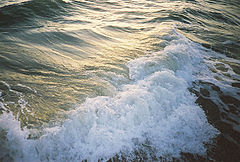 photo "* * *"