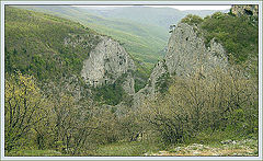 photo "Untitled photo"