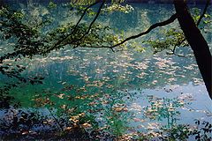 photo "Blue lake"