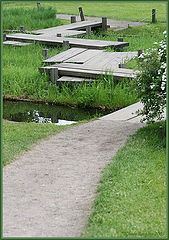 photo "A Foot-bridge"