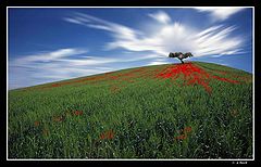 photo "The red hill"