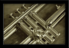 фото "The band"