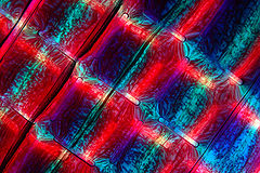 photo "QUADRICULAR 2"