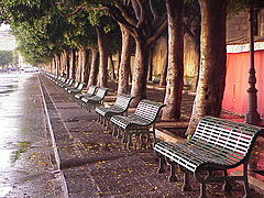 фото "Someone to sit!"