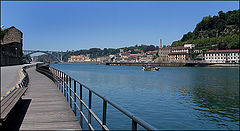 photo "Let's walk"
