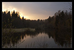 фото "Evening forest"