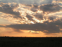 photo "***"