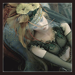 photo "* * *"