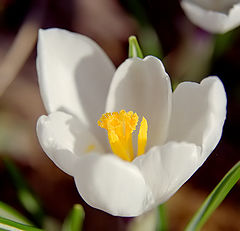 photo "To look inside"