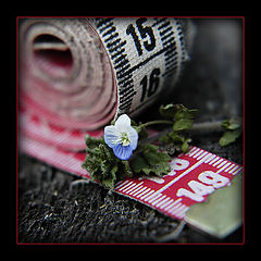 фото "15*149"