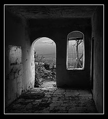 photo "Without the name"