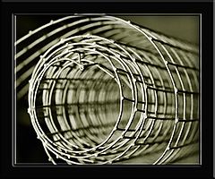 фото "The Wire"