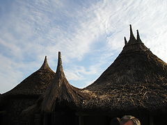фото "sanfins"