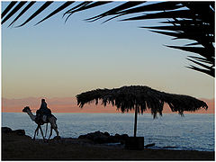 photo "Beduin on a camel passed past..."
