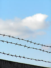 photo "This sweet word "freedom""