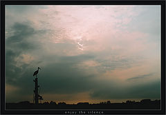 фото "Enjoy the Silence"