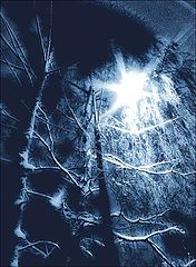 photo "Night"
