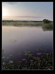 фото "*"