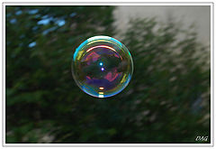 photo "Splinters of the childhood"