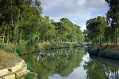 photo "Tel-Aviv spring"