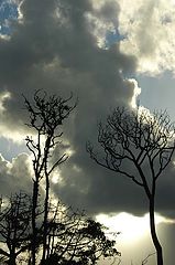 photo "Canuan Island"