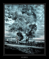 фото "***"