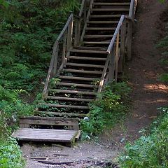 photo "Stairway"