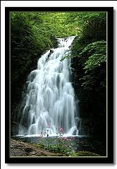 photo "Gleno"