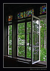 photo "Odour of lilac. From a serial of "Window""