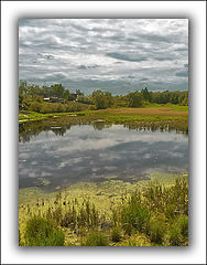 photo "At a silent pond"