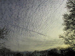 фото "The Sky"