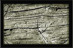 фото "Natural Wood"